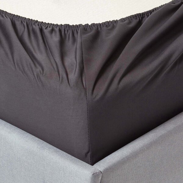 Dark Charcoal Grey Egyptian Cotton Fitted Sheet 1000 TC, Single