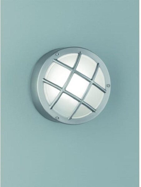OUT6620 Flush Light With Satin Glass In Stainless Steel And Cage Style Front
