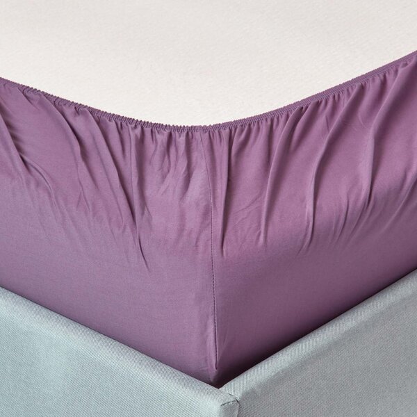 Homescapes Grape Egyptian Cotton Fitted Sheet 200 TC, Single