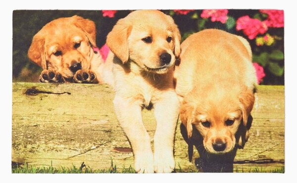 Homescapes Puppies Printed 100% Recycled Rubber Non-Slip Doormat