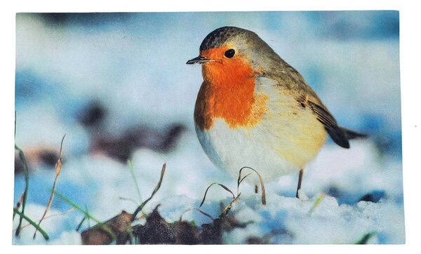 Homescapes Winter Robin Printed 100% Recycled Rubber Non-Slip Doormat