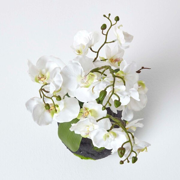 White Phalaenopsis Artificial Orchid with Natural Base, 60 cm Tall