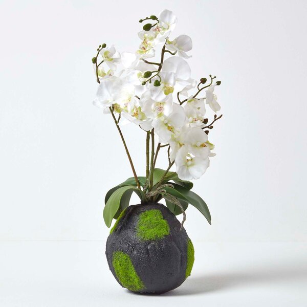 White Phalaenopsis Artificial Orchid with Natural Base, 60 cm Tall