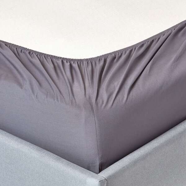 Homescapes Dark Grey Egyptian Cotton Fitted Sheet 200 TC, Single