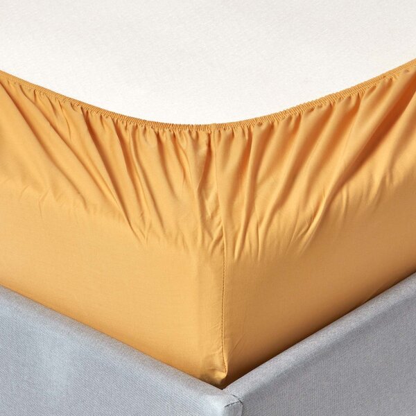 Homescapes Mustard Yellow Egyptian Cotton Fitted Sheet 200 TC, Single