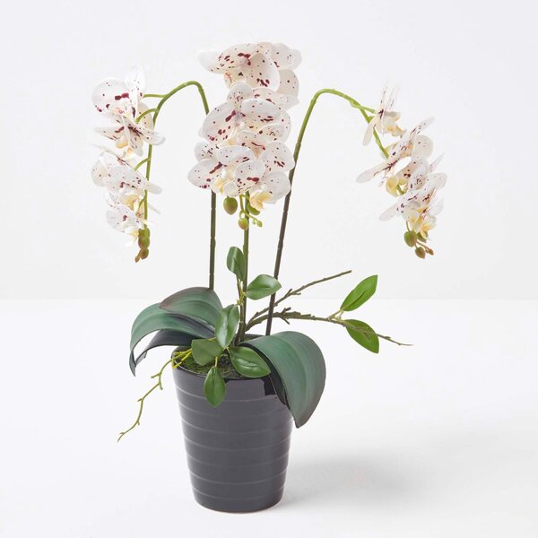 Large 56cm Lifelike Artificial White Orchid in Black Ceramic Pot