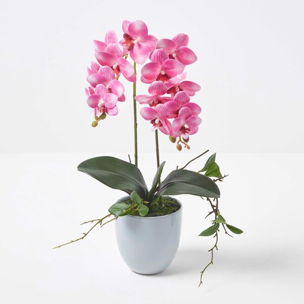 Homescapes Pink 54cm Lifelike Artificial Orchid in Grey Ceramic Pot