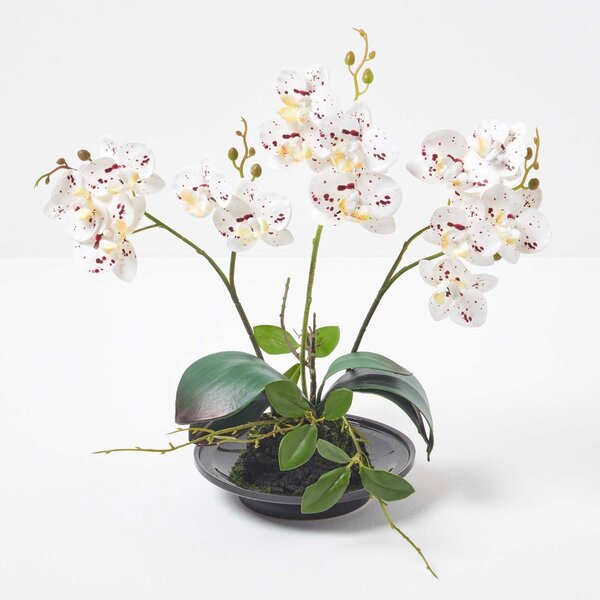 Homescapes 38cm Lifelike Artificial White Orchid in Black Ceramic Bowl