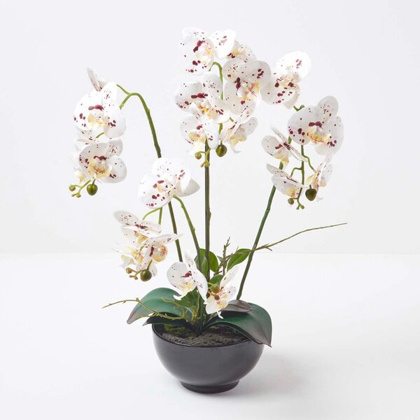 Large 62cm Lifelike White Artificial Orchid in Black Ceramic Pot