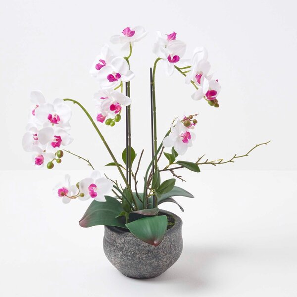 Homescapes 52cm Lifelike Artificial White Orchid in Grey Cement Pot