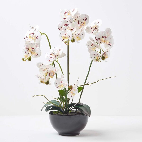 Large 62cm Lifelike White Artificial Orchid in Black Ceramic Pot