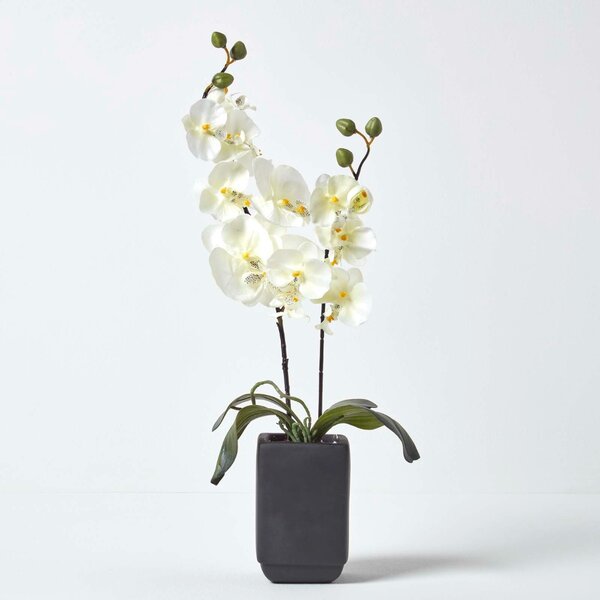 Homescapes Set of 2 Cream & Pink Artificial Orchids in Black Pot 55 cm