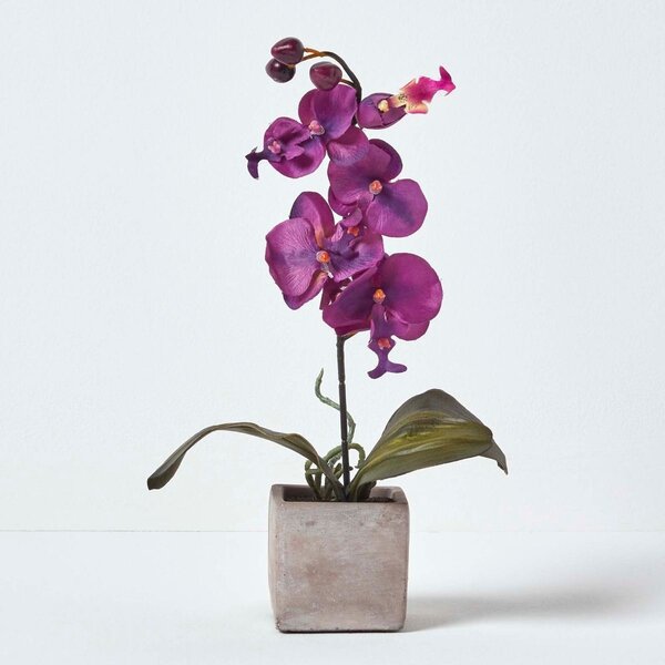 Homescapes Set of 2 Pink & White Artificial Orchids in Pots 40 cm