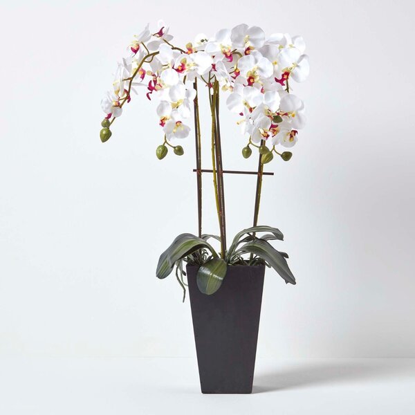 Lifelike White & Cerise Pink Artificial Orchid in Black Pot, 70 cms