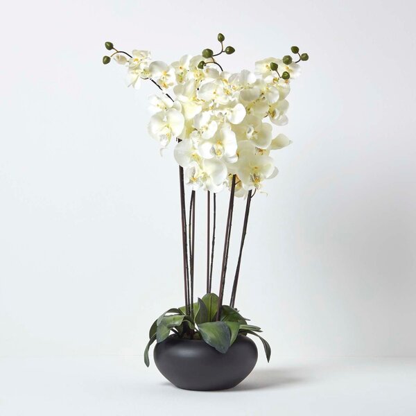 Homescapes Large Oriental Style Cream Artificial Orchid in Black Bowl, 79cm Tall