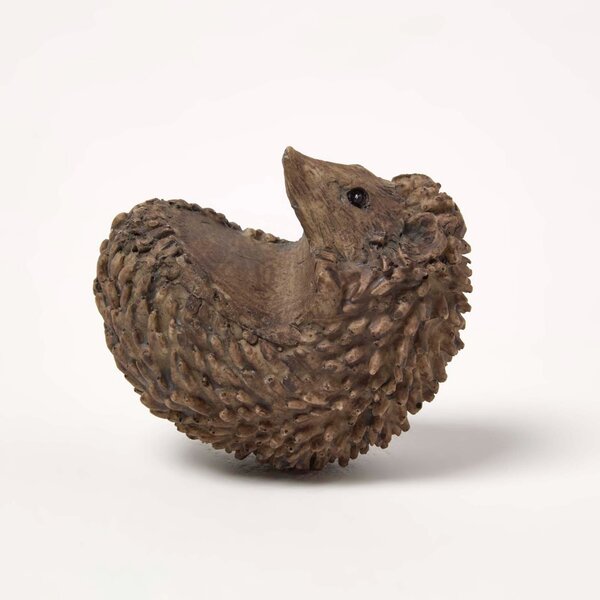 Homescapes Hedgehog Pot Hangers - Pot Decoration Buddy