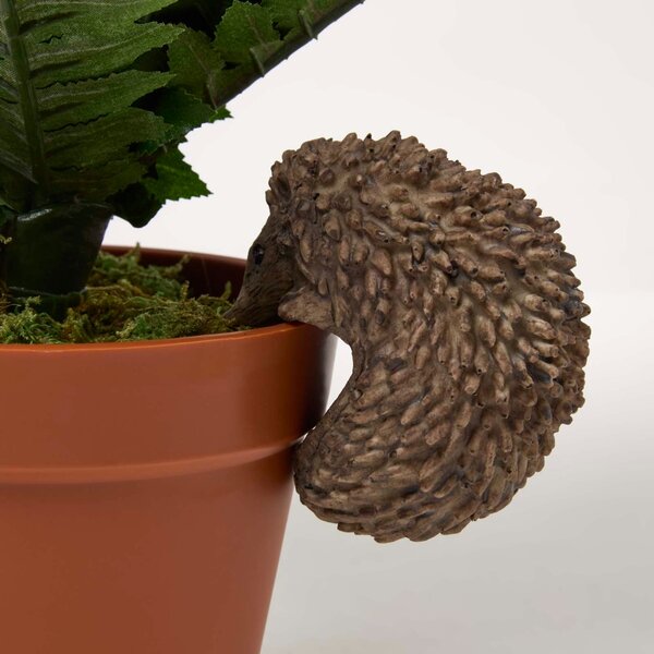 Homescapes Hedgehog Pot Hangers - Pot Decoration Buddy