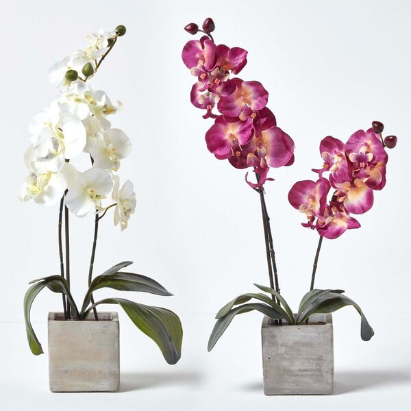 Homescapes Set of 2 Artificial Purple & Cream Orchid in Stone Pot 57cm