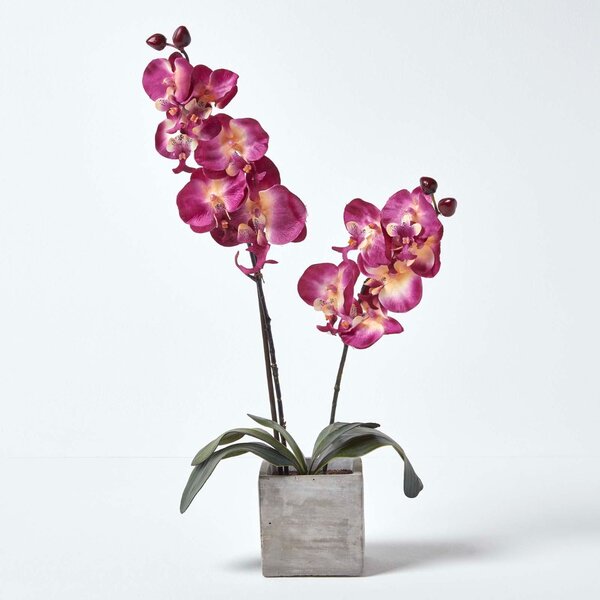 Homescapes Set of 2 Artificial Purple & Cream Orchid in Stone Pot 57cm