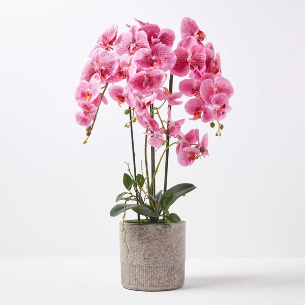 Extra Large 82cm Lifelike Pink Artificial Orchid in Grey Cement Pot