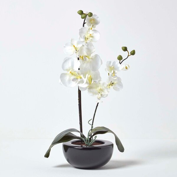 Homescapes Lifelike Cream Artificial Orchid Oriental Style in Ceramic Black Bowl