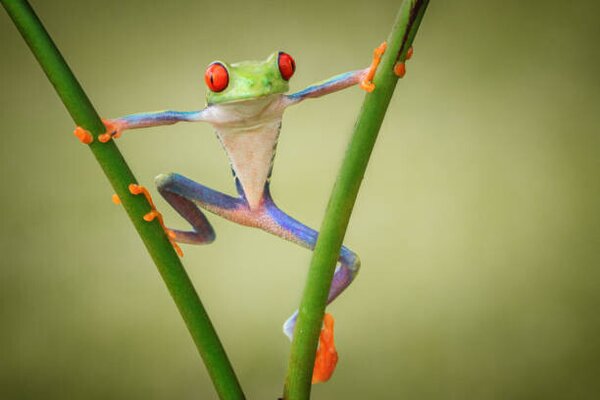 Photography Hello, shikhei goh