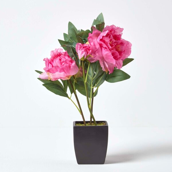 Homescapes Pink Artificial Peonies in Decorative Black Pot, 48 cm Tall