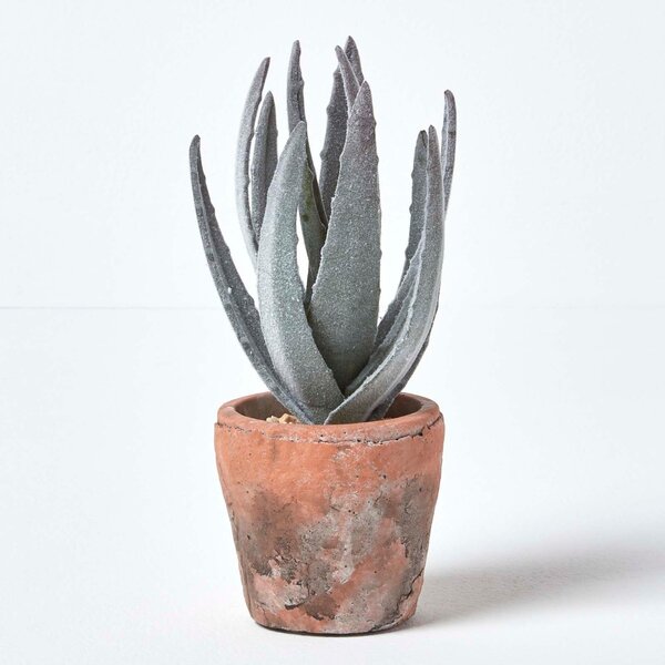 Artificial Succulent Aloe Vera in Decorative Terracotta Pot, 21 cm Tall