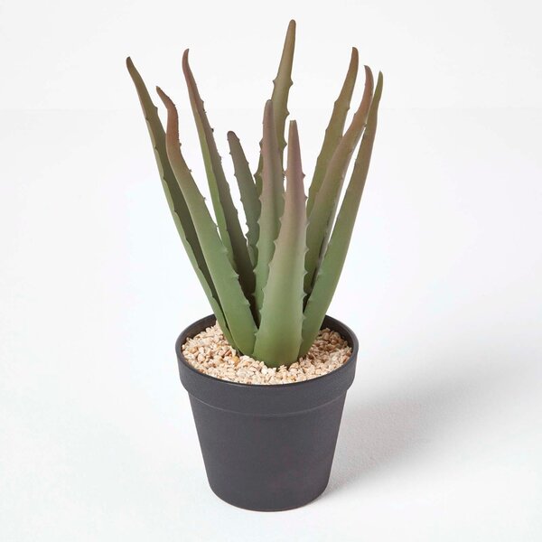 Homescapes Artificial Succulent 30cm Tall Aloe Vera in Black Pot