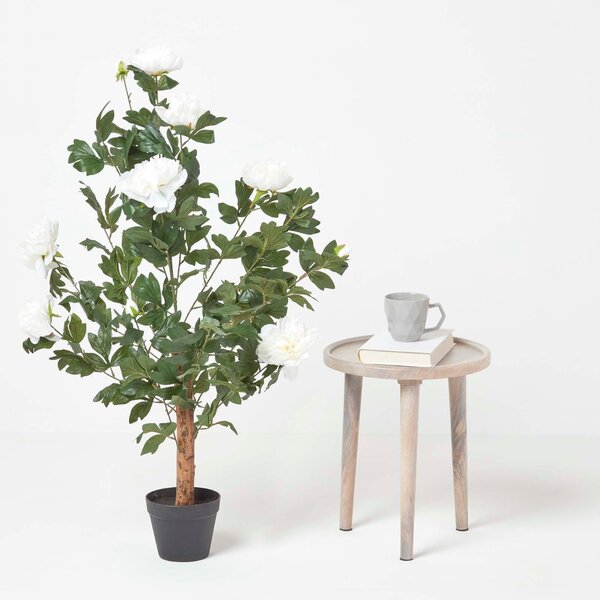 Cream Artificial Peony Tree in Black Pot, 100 cm Tall