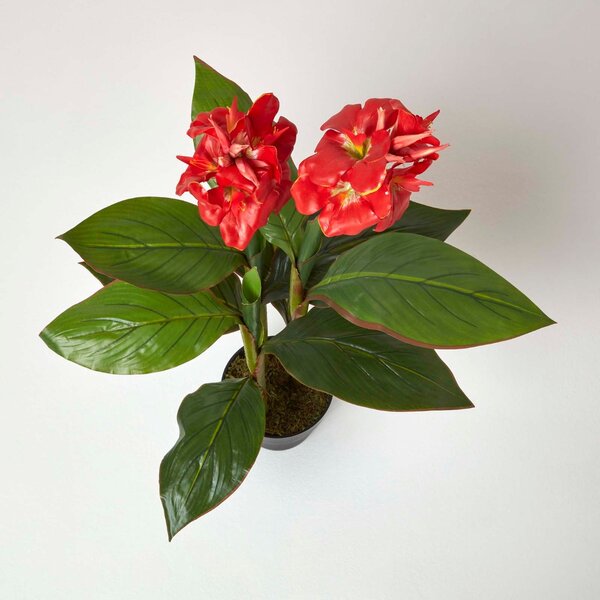 Homescapes Artificial Red Canna Lily Plant in Black Pot, 90 cm Tall