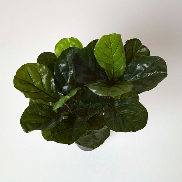 Homescapes Artificial Small Fiddle Leaf Fig Tree in Pot, 70 cm Tall