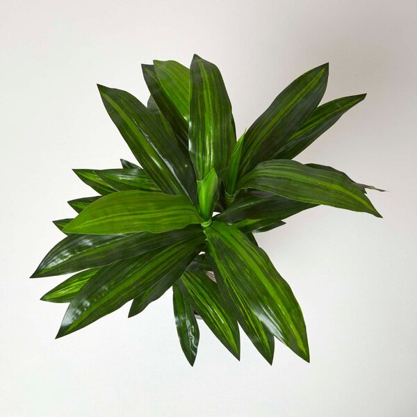 Artificial Dracaena Fragrans with Large Green Leaves, 90 cm Tall