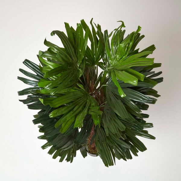 Homescapes Artificial Rhapis Excelsa Lifelike Palm Tree, 120 cm Tall