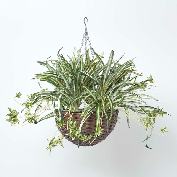 Homescapes Artificial Hanging Basket Spider Hanging Fern Plant 60 cm