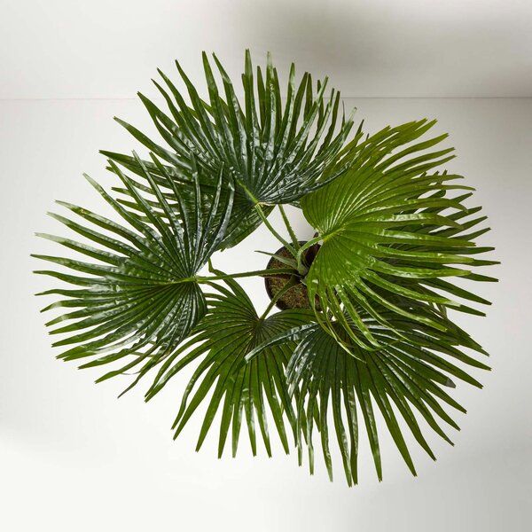 Homescapes Artificial Palm Tree in Pot 80 cm Tall Fake Fan Palm