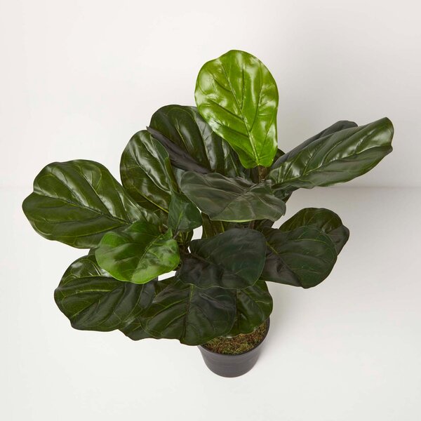 Homescapes Artificial Fiddle Leaf Fig Tree in Pot 75 cm Tall