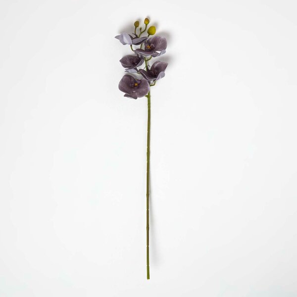 Homescapes Artificial Stem of Grey Orchid Flower, 68 cm