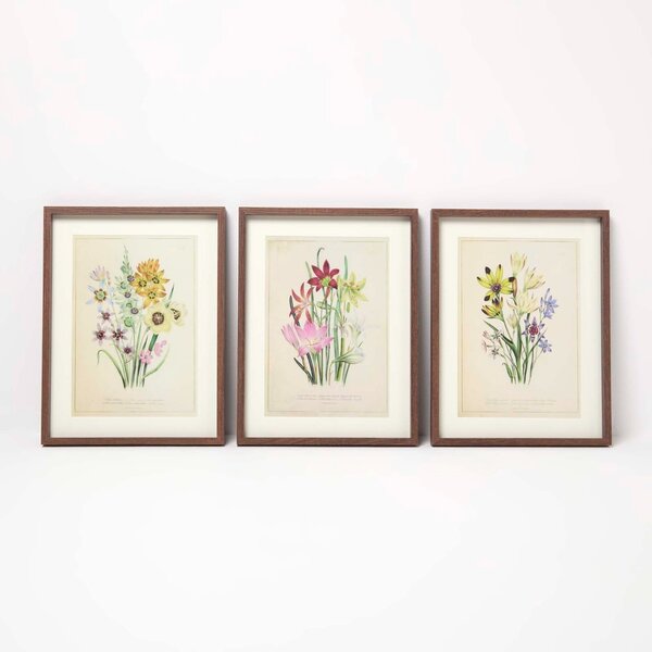 Homescapes Design Wall Decoration, Wall Painting, Wildflowers, Set of 3