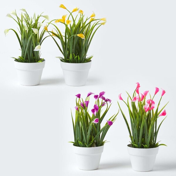 Homescapes Set of 4 Multi-Coloured Artificial Calla Lily in White Pots