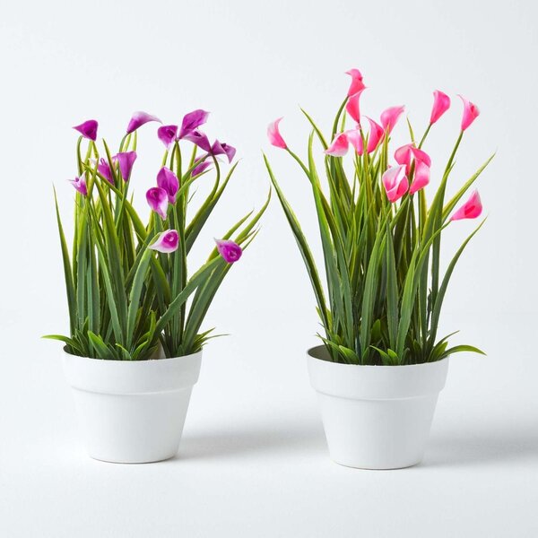 Homescapes Set of 4 Multi-Coloured Artificial Calla Lily in White Pots