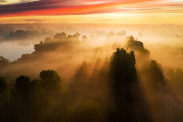 Photography Beautiful misty dawn in the spring, Anton Petrus