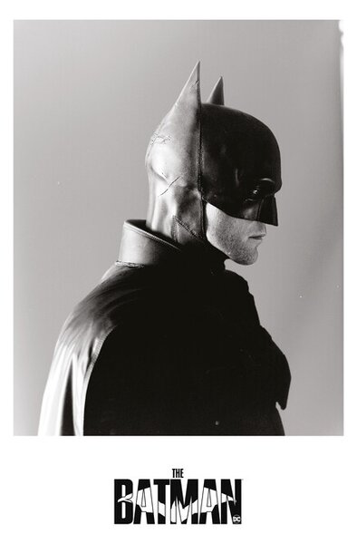 Art Poster The Batman 2022 - Bat profile