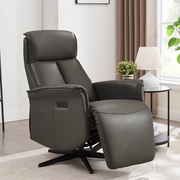 Roanoke Leather Electric Reclining Chair In Ash