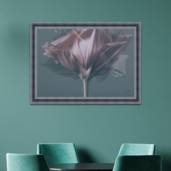 Elegant Rose Framed Print Grey