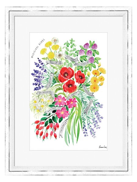 Medicinal Herbs Watercolour Bouquet Framed Print MultiColoured