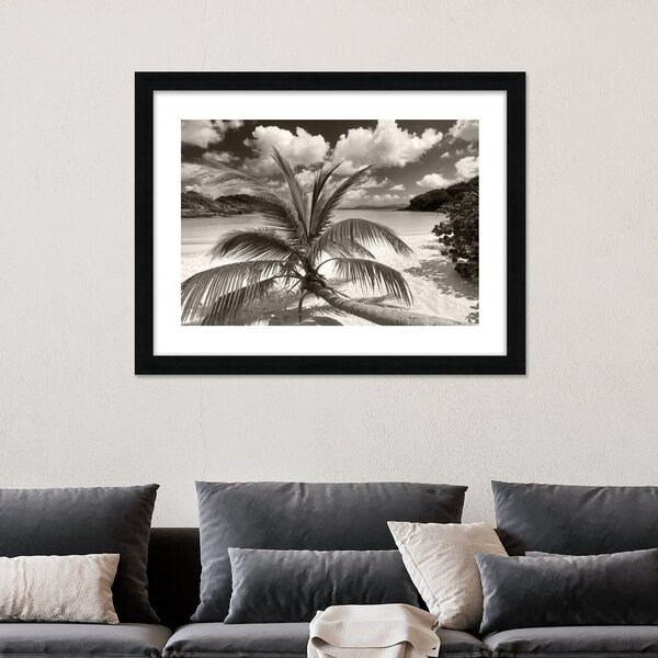Still Growing To The Sun Framed Print Black and white