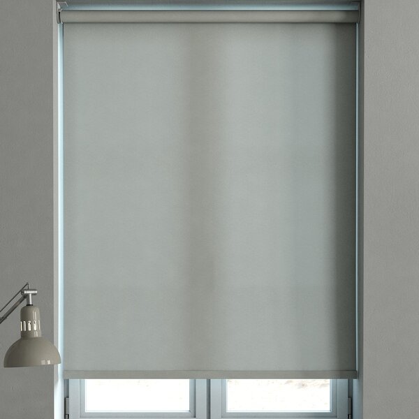 Visser Roller Blind Steel