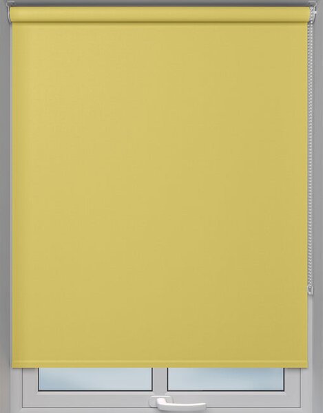 Viera Made to Measure Roller Blind Ray