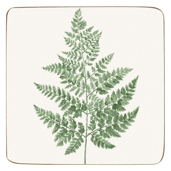 Fern Pack of 4 Corkback Coasters White